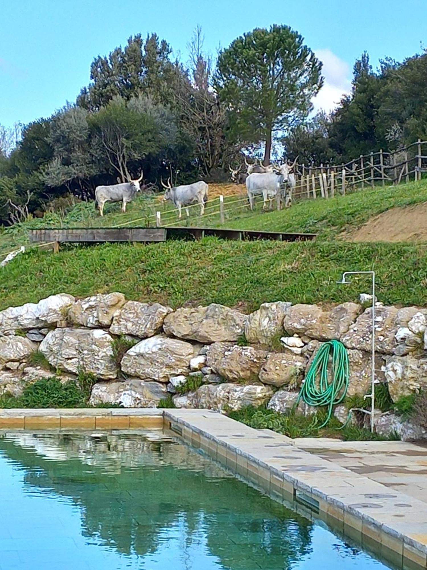 Case Di Gello Montecatini Val di Cecina Εξωτερικό φωτογραφία
